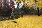 Autumn in the Public Gardens of Milan