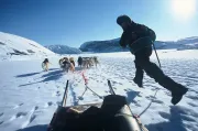 Departure for the sled expedition (Greenland)