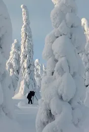 In Riisitunturi National Park, Finland (Photo by Francesco Figari)-2