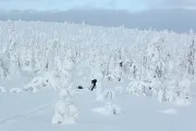 In Riisitunturi National Park, Finland (Photo by Francesco Figari)