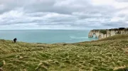 Normandy, France (photo by Cristina Figari)