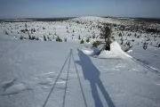 On the hills of Riisitunturi, Finland