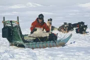 Preparing the sledge for expedition (Greenland)