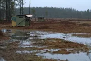 Shed for photographing bears on the Finnish-Russian border