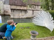 Two photographers and the white peacock (France, photo by Cristina Figari)