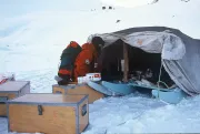 Two sledges close together form a tent (Greenland)