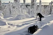 Winter in Lapland (Finland)