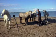 With the horses in Camargue (Photo by Daniel Vyhnal)