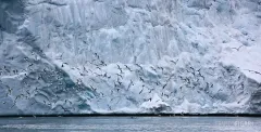 FJL0719_0614_Glaciers vertically on the sea on Prince George Land (Franz Josef Land Russia)