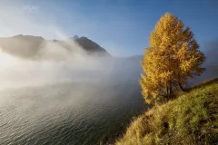 SV10119_0780_Morning fog on lake of Sils (Engadina Switzerland)