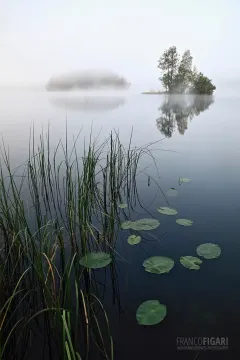 FIN0819_0793_Summer morning fog