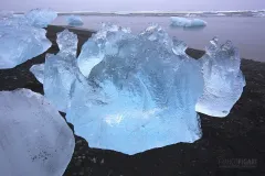 ISL0315_0134_Blocks of ice from the Vatnajökull glacier are transported ashore by the sea current (Jökulsárlón Iceland)