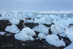 ISL0315_0135_Blocks of ice from the Vatnajökull glacier are transported ashore by the sea current (Jökulsárlón Iceland)