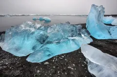 ISL0315_0162_Ice blocks on the black beach in Jökulsárlón (Iceland)