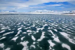 SVA0608_0139_Hornsund fjord (Svalbard)