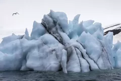 FJL0719_0608_Amazing forms of icebergs (Franz Josef Land Russia)