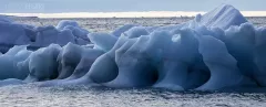 FJL0719_0623_Icebergs in the sea Nature master of sculpture (Franz Josef Land Russia)