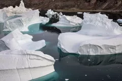 GRO0822_0961_Iceberg graveyard  (Eastern Greenland)