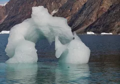 GRO0822_0988_Small iceberg (Eastern Greenland)