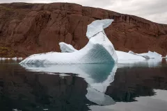 GRO0822_1081_Iceberg in Rodefjord (Eastern Greenland)
