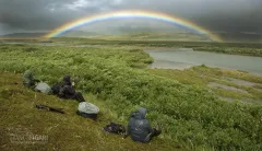 ALA0814_0190_Katmai National Park (Alaska USA)