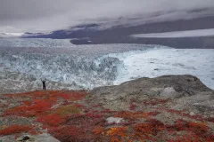 GRO0822_1057_Autumn colours on the majestic Rolige Brae glacier (Eastern Greenland)