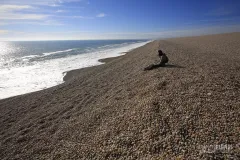 ING0416_0175_Chesil beach on the Jurassic Coast (Dorset England)