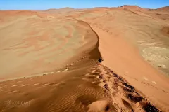 NAM0815_0644_Hiking-on-the-red-dunes-of-Sossusvlei-Namibia