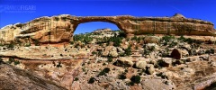 ARI1007_0751_Natural Bridge Monument (Utah USA)