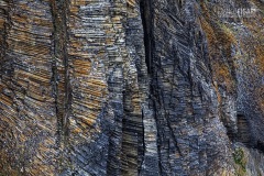 FJL0819_0756_Basalt columns on Rubini promontory (Franz Josef Land Russia)
