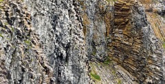 FJL0819_0764_Basalt columns on Rubini promontory (Franz Josef Land Russia)