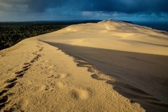 FRA0419_1077_Early morning lights on the Dune of Pilat on the Atlantic Coast (France)