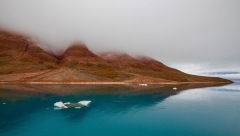 GRO0822_1065_Coastline in the morning fog (Eastern Greenland)