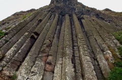 IRL0614_0772_Basalt columns (North Ireland)