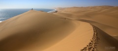 NAM0815_0212_View on the Atlantic Ocean from the dunes (Namibia)