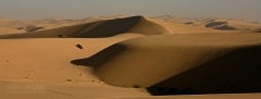 NAM0815_0755_Off-road rollercoaster ride on the Skeleton Coast dunes (Namibia)