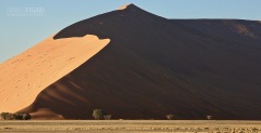 NAM0815_0765_The red dunes of Sossusvlei (Namibia)