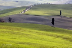 TUS0222_0908_Val D’Orcia in Tuscany (Italy)