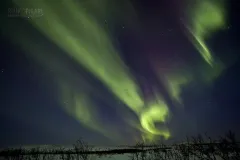 LAP0313_0234_Northern lights near Utsjoki in Lapland (Finland)