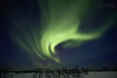 LAP0313_0235_Northern lights near Utsjoki in Lapland (Finland)