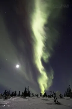 LAP0316_0233_Northern lights look like a geyser from the heart of the Earth (Lapland Finland)