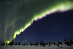 LAP0316_0238_Northern lights on the arctic circle in Lapland (Finland)