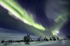 LAP0316_0239_Northern lights on the arctic circle in Lapland (Finland)