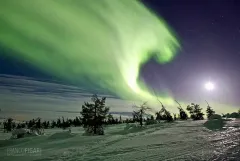 LAP0316_0823_Northern lights on the Riisitunturi fells beaten by strong wind (Finland)