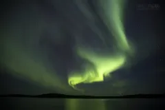 LAP0915_0240_Northern lights reflecting on lake Menesjärvi in early autumn (Lapland Finland)