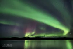 SVE1016_0242_Northern lights reflecting on lake Tometräsk in autumn (Abisko National Park Sweden)