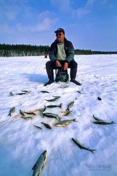 FIN0304_0329_Winter fishing on the lake (Finland)