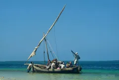 MAF0800_0871_People of Mafia island (Tanzania)