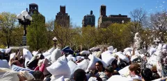 NEW0412_0925_Battle of the pillows at Easter in Washington Square (New York)