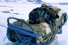 NOR0304_0326_Sleddog musher resting (Norway)